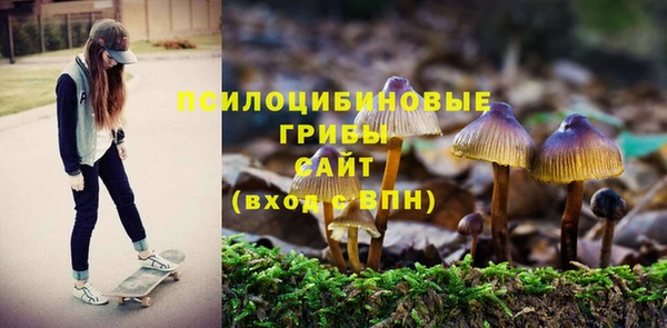 spice Гатчина