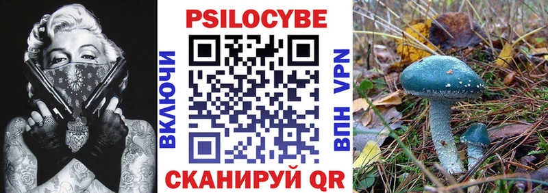 Псилоцибиновые грибы Psilocybine cubensis blacksprut ссылки Кушва
