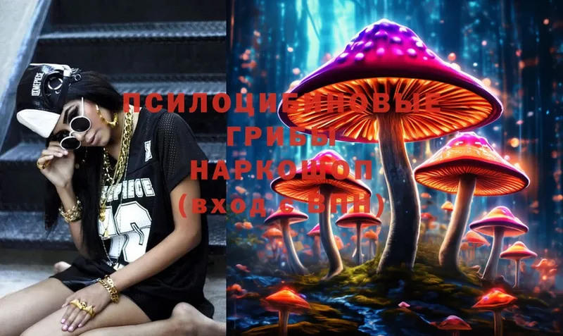 где купить наркотик  Кушва  Галлюциногенные грибы MAGIC MUSHROOMS 