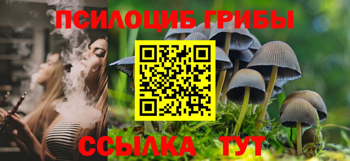 Галлюциногенные грибы Magic Shrooms  купить наркоту  Галлюциногенные грибы Cubensis  Кушва 