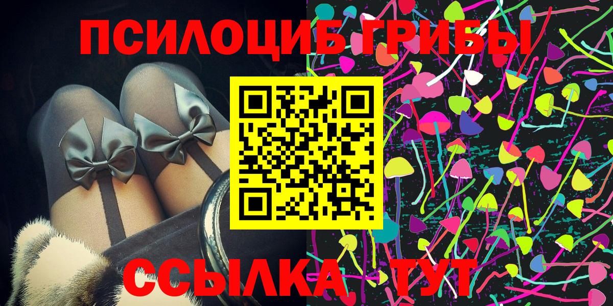 дарнет шоп  Вход с VPN  Кушва  Галлюциногенные грибы MAGIC MUSHROOMS  Псилоцибиновые грибы Psilocybine cubensis 