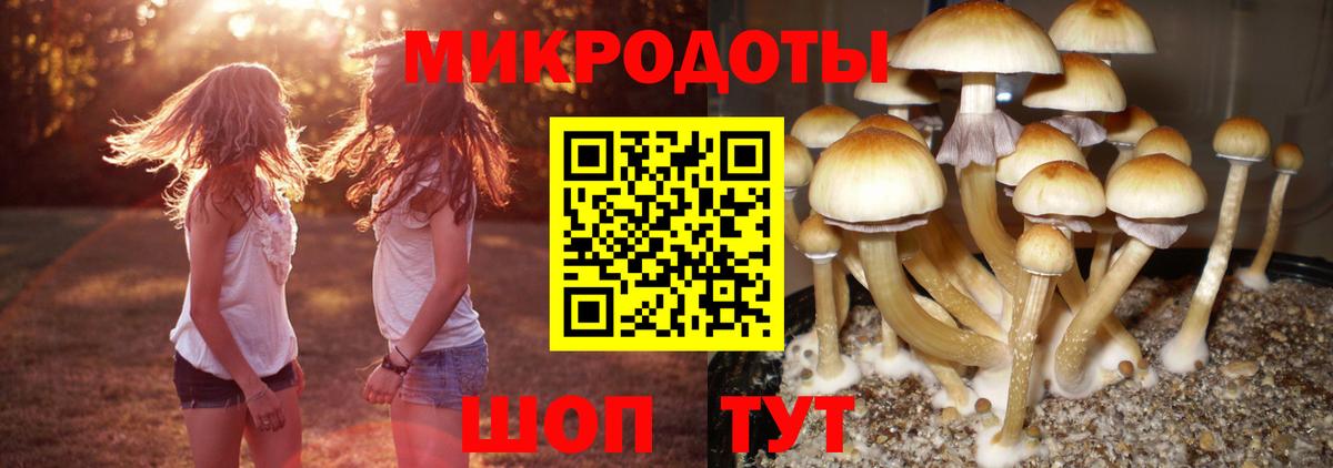 Бошки Шишки  LSD-25  Кушва  Меф  Мефедрон  Cocaine  Экстази  Гарик  Канабис  Вход с VPN 