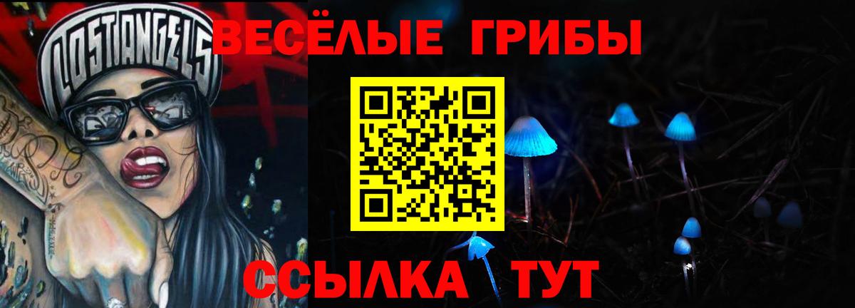 Псилоцибиновые грибы Psilocybine cubensis Кушва